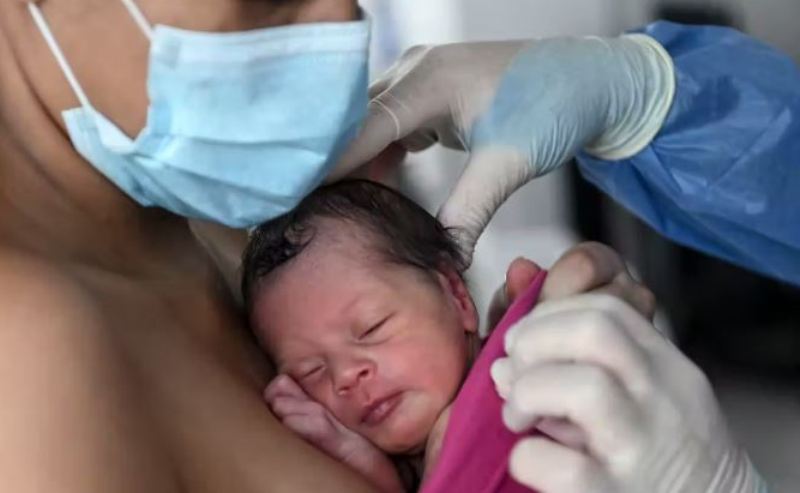 Babies Are Delivered Alive and Their Hearts Cut Out Without Anesthesia To Develop Vaxxines