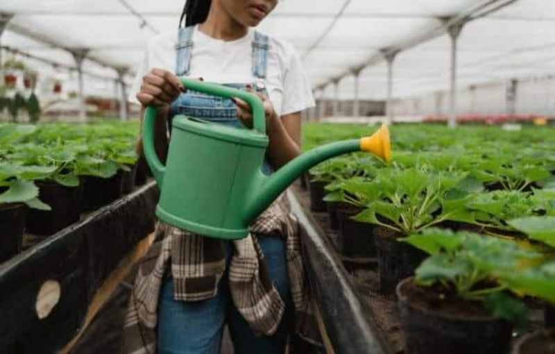 Scientists: Edible Plants Being Altered To Carry mRNA Vaxxine Payload