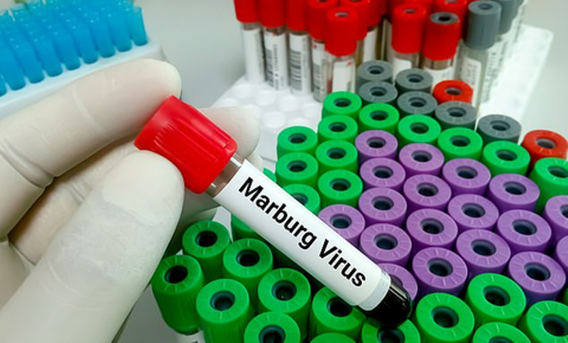 As Predicted They’ll Try And Push A Marburg Outbreak To Lock Down The World Again