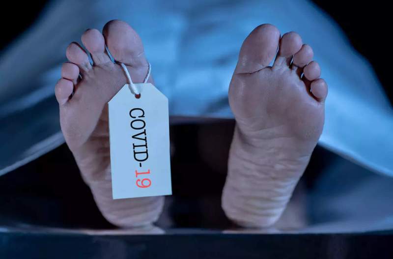 Doctor Shortages as the C0vid Vaxxines Continue to Kill One Australian Every 15-30 Minutes