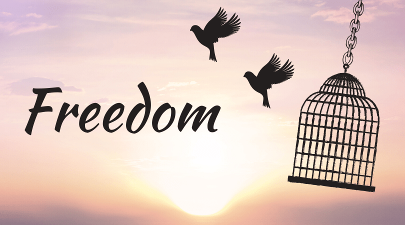 The Only People Who Accuse the Freedom Movement of Hate Are Those Who Hate Standards