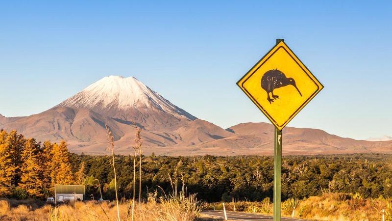 Eruption Fears as New Zealand’s Taupo Supervolcano’s Alert Level is Raised