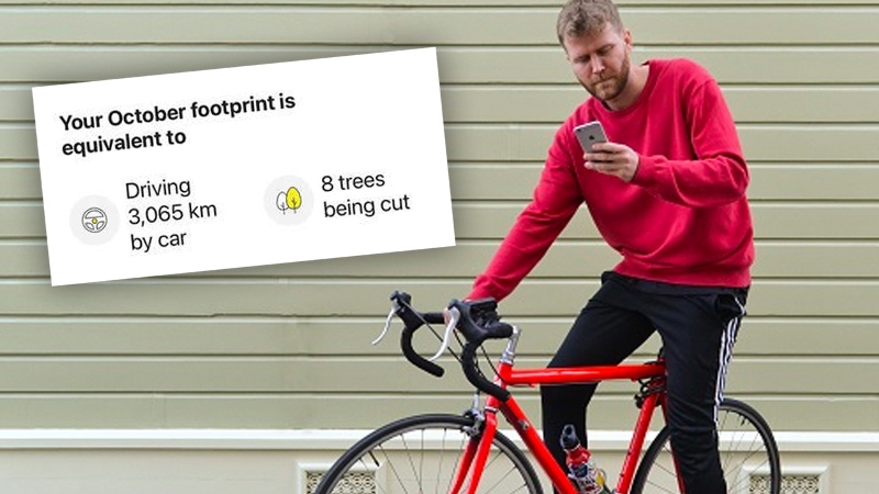 Bank App Tracks How Many Trees You’ve ‘Destroyed’ with Your Carbon Footprint