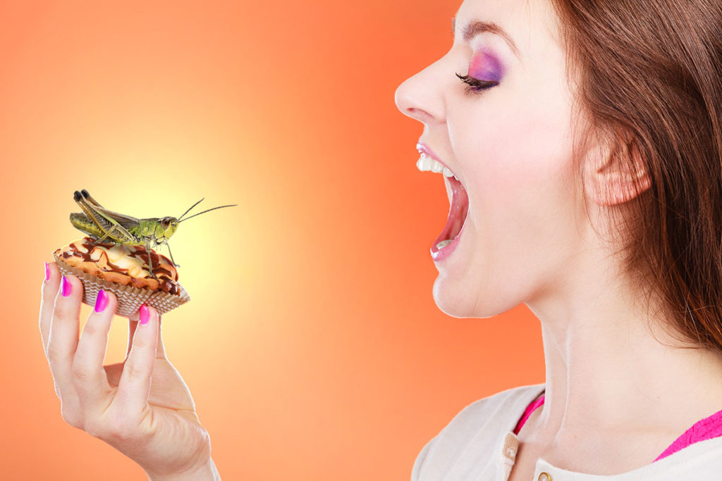 Will You Eat Engineered Insects and Synthetic Meat – to “Save the Planet”?