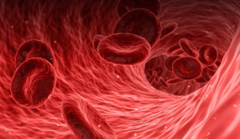 New Bill Bans Those With Covid Vax From Making Blood Donations