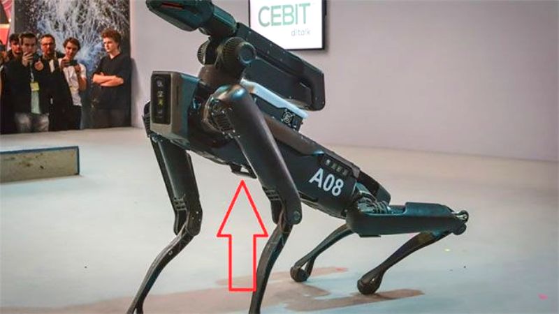 Robot Dogs Are Remarkably Easy To Defeat Thanks To These Weak Spots