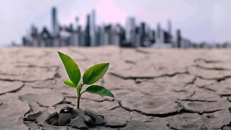 Rapidly Declining Birth Rates Are From Climate Change, Says Paid for Fake News and Anti-Science Media