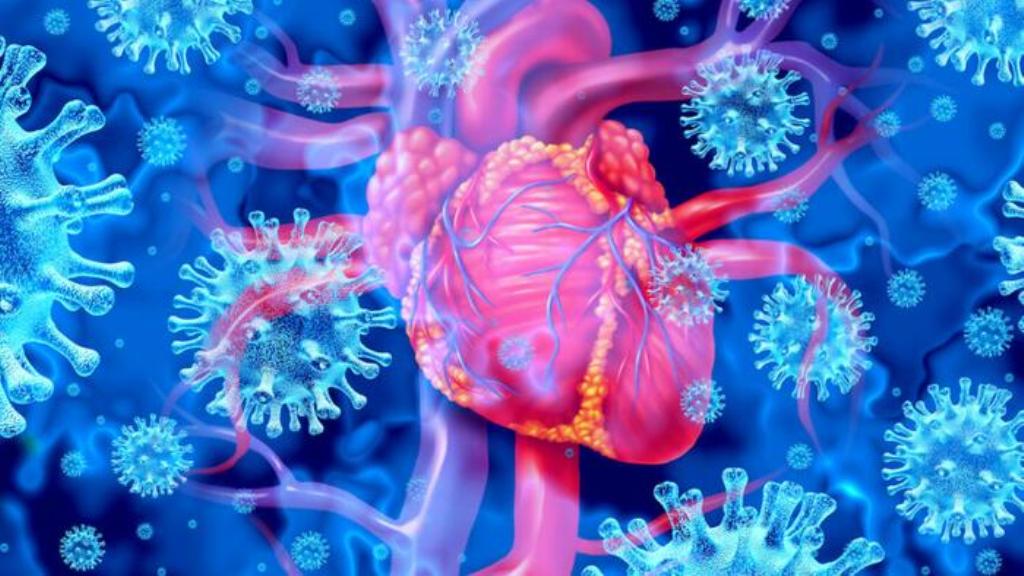 Excess Deaths From Cardiovascular Diseases Up 44% Last Year Among UK Citizens Aged 15-44: Report