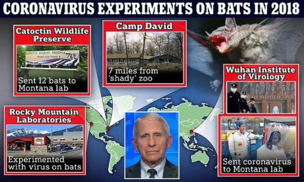 BOMBSHELL – Anthony Fauci-run Lab in MONTANA Experimented With Coronavirus Strain Shipped in from Wuhan a Year BEFORE Covid Pandemic Began