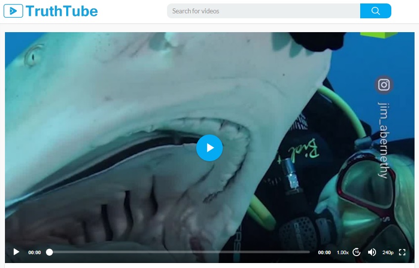 A Deep Bond: A Diver’s Unlikely Friendship With a 15ft Tiger Shark Challenges Stereotypes