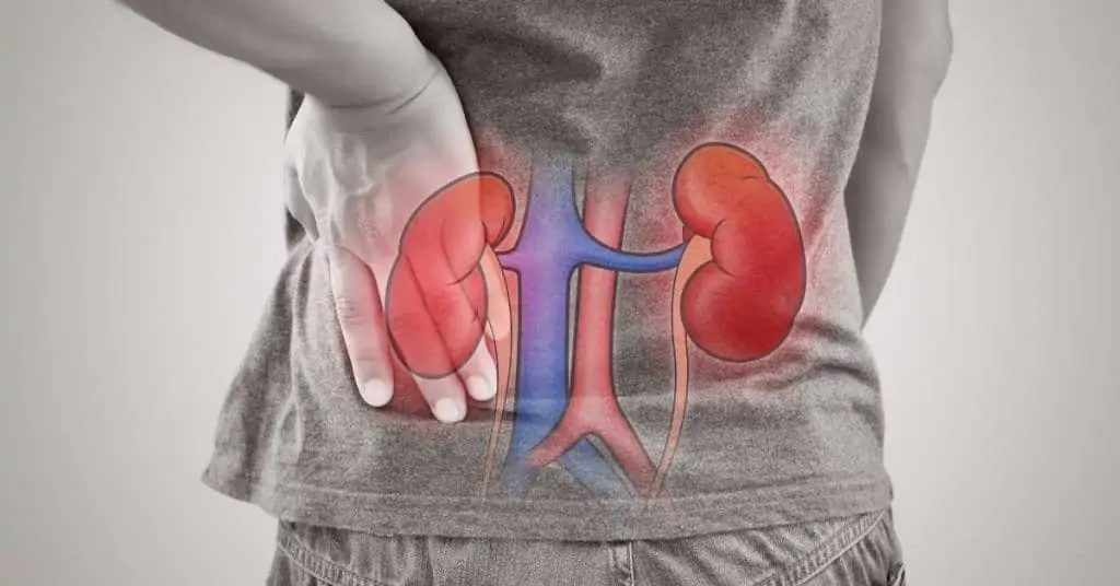 Acute Kidney Injury After Vaccination: New Zealand Government Scientists Changed Their Data Without Explanation