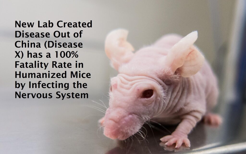 New Lab Created Disease Out of China (Disease X) has a 100% Fatality Rate in Humanized Mice by Infecting the Nervous System