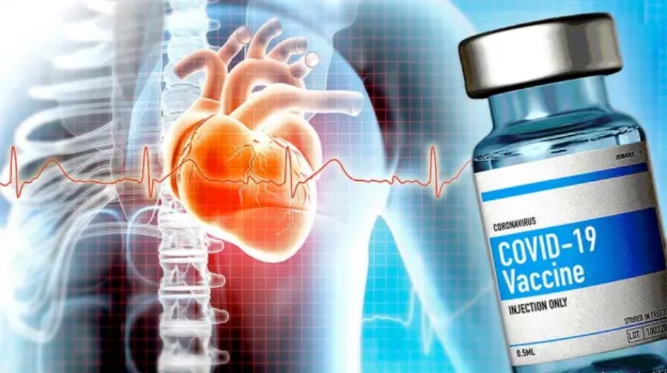 Myocarditis Rates Increase 5X in Guernsey After COVID Vax Rollout