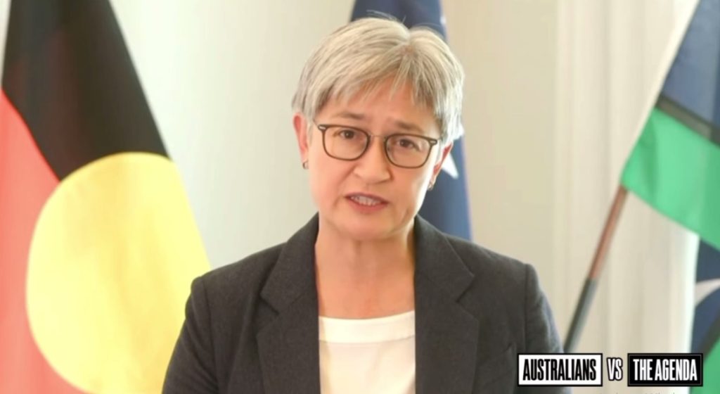 Foreign Minister Penny Wong has Addressed the World Health Organization on Behalf of Prime Minister Anthony Albanese, Welcoming the Adoption of the WHO Pandemic Agreement