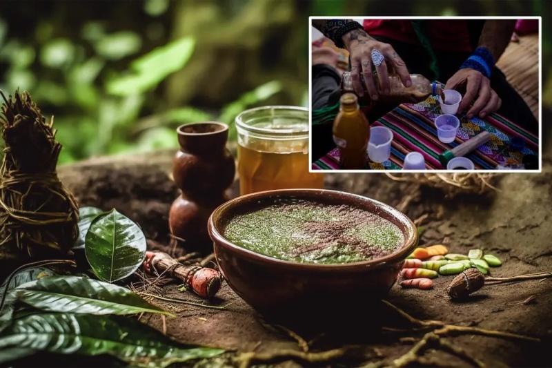 American Tourist, 41, Died After Drinking Psychedelic Tea in Peru