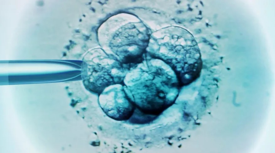 Like a Sci-fi Movie’: US Baby Born from 30-year-old Frozen Embryo Breaks Record