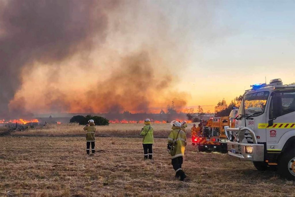 Australian Teen Charged After Firework Sparks New Year’s Eve Bushfire