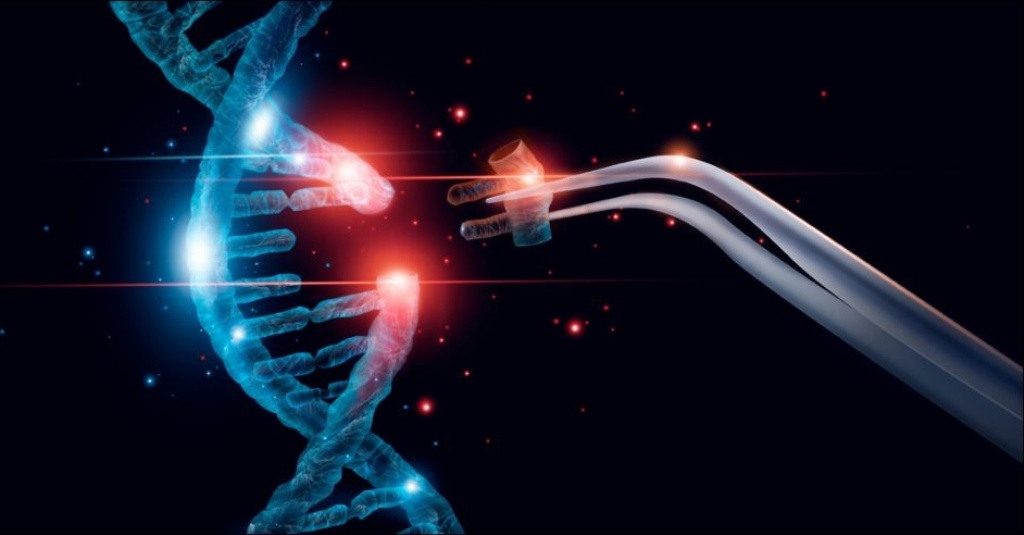 The Human Genome Has Been Contaminated With A Gene That Has Never Existed In The History Of Humanity