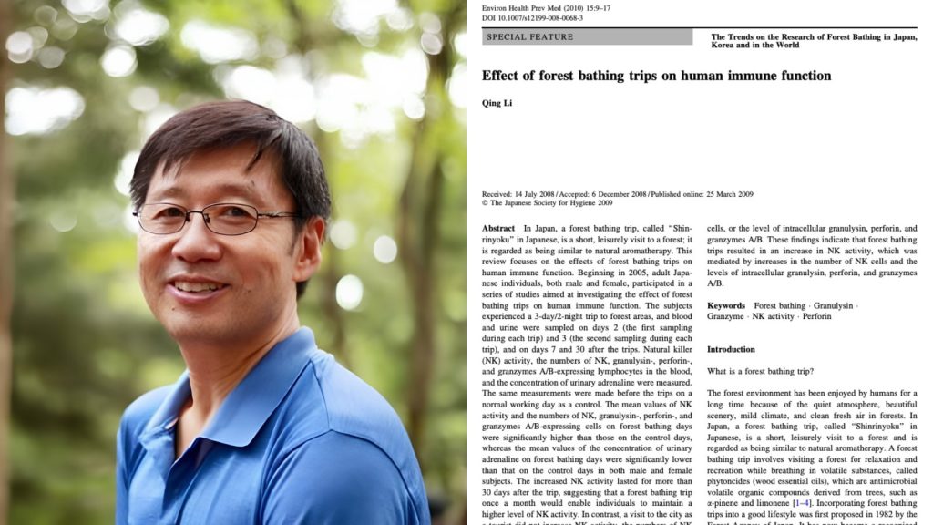A Japanese Immunologist Spent 20 Years Proving That The Chemicals Trees Release Into The Air Walk Into Your Bloodstream, Hunt Down Your Stress Hormones, And Arm Your Immune System In Ways No Therapist Or Pharmaceutical Has Ever Matched, And Most Of The Data Has Been Sitting In Japanese Medical Journals For Two Decades Waiting To Be Translated
