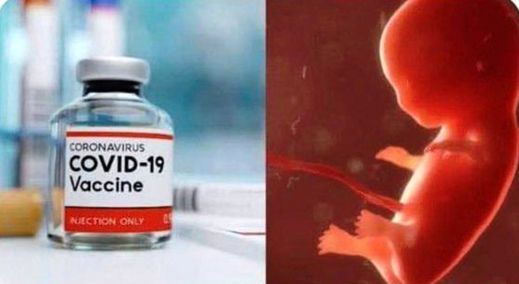 Pfizer Has Published the List of Side Effects From Covid Vaccine